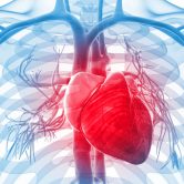 Small Study Concludes That E-Cigarettes MAY Increase Risk of Heart Disease