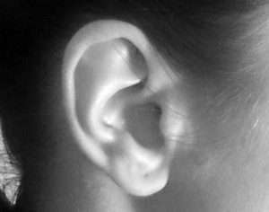human-ear